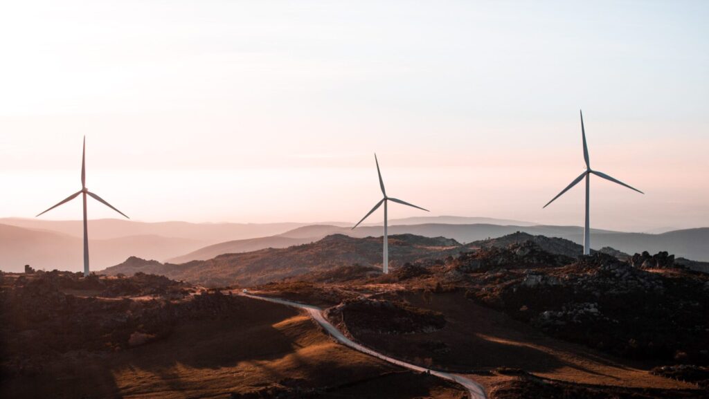 cropped-karyatid-6LBfUfOyjrE-unsplash-scaled-2.jpg